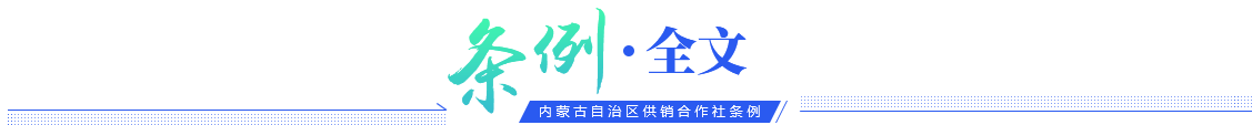 条例全文