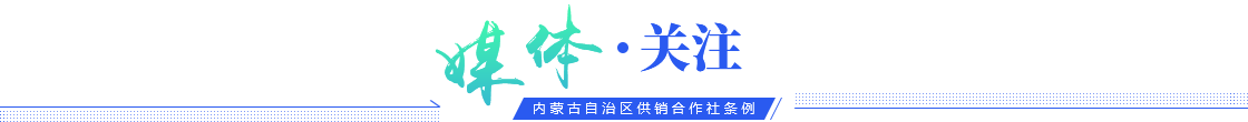 媒体关注