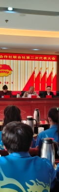共青团新葡京门户网站
委员会召开团代会圆满完成换届选举