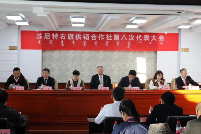 图片8