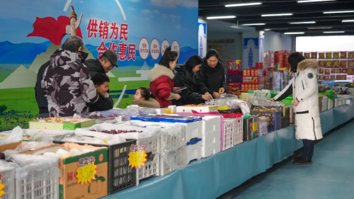 图片6