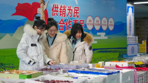 图片7