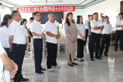图片12