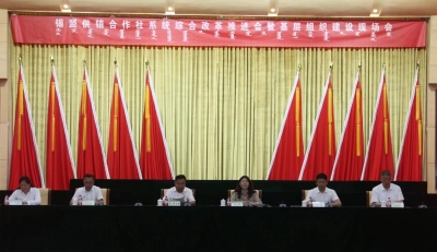 图片14