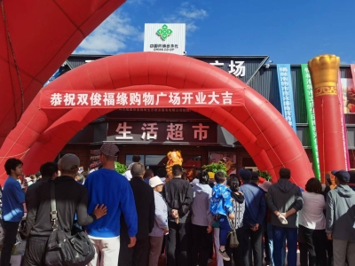 图片7