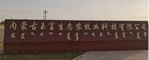 玉富4