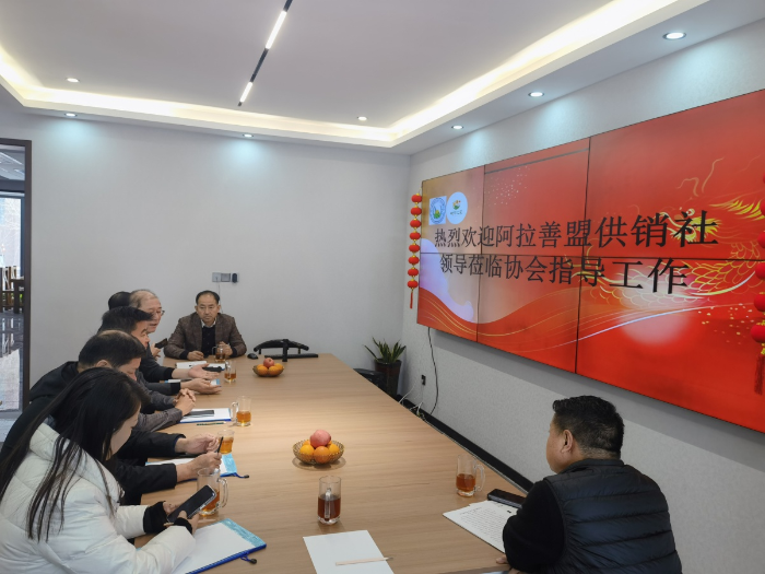 图片5