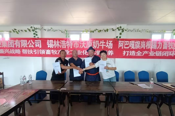 图片6