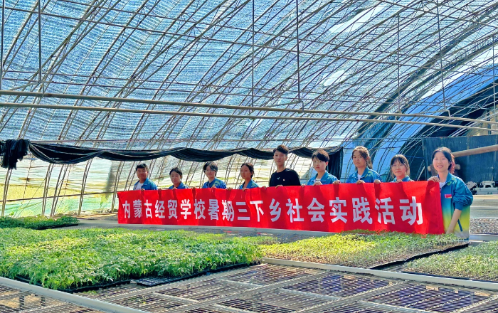 图片 5