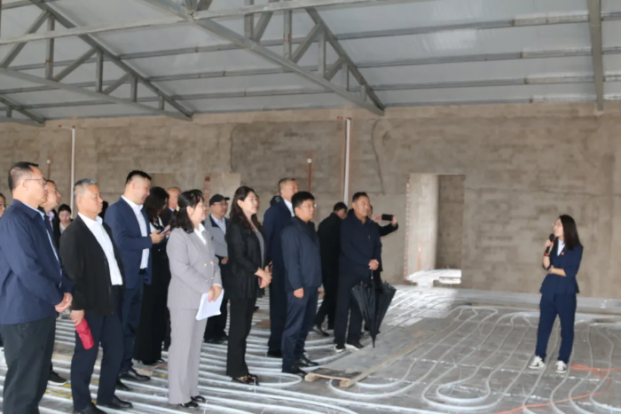 图片7