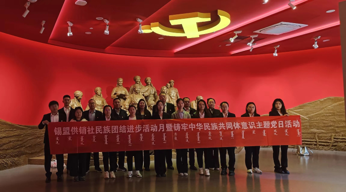 图片8