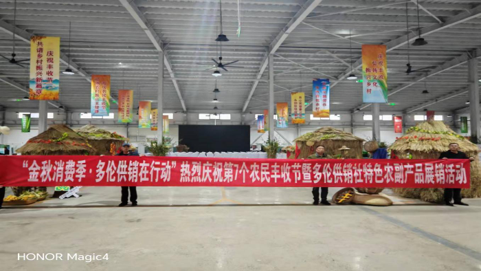 图片17