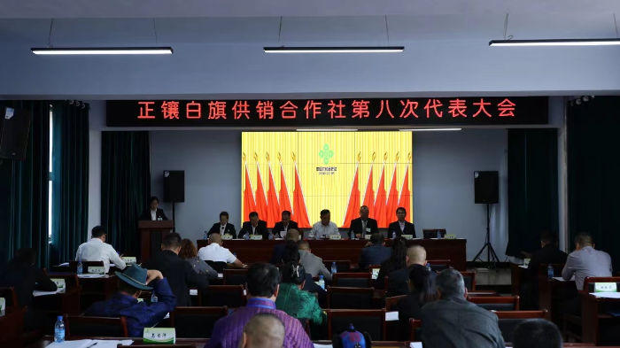 图片21