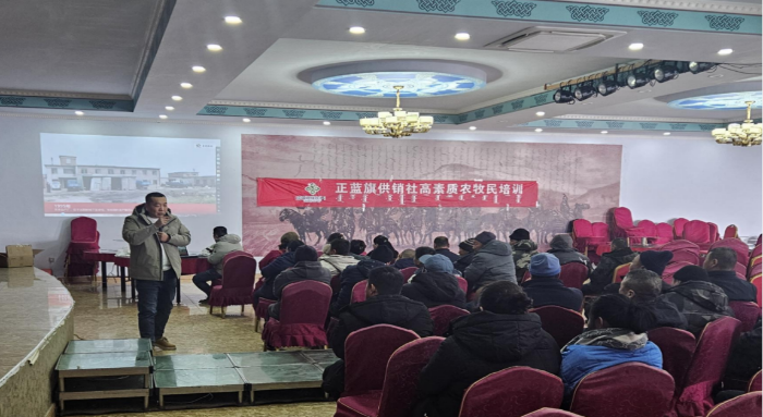 图片9